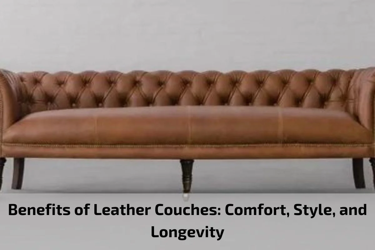 Leather Couches