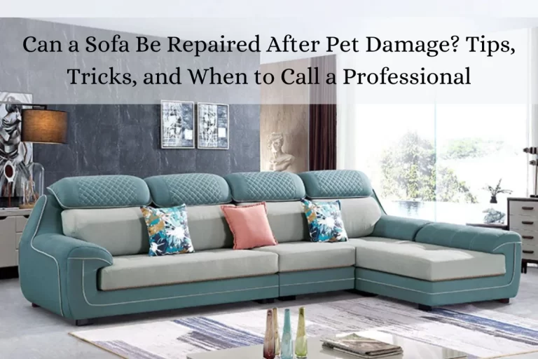 Can a Sofa Be Repaired After Pet Damage? Tips, Tricks, and When to Call a Professional